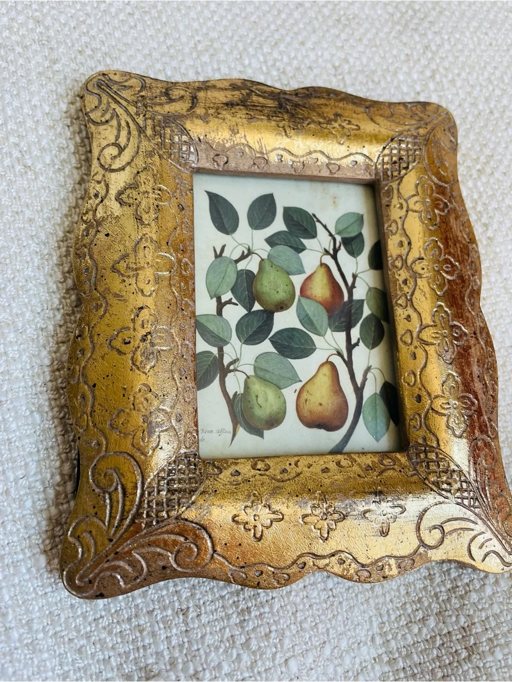 Ornate Gold Decorative Picture Frame with Botanical Pear Print Fits 2.5x3.5